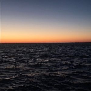 Meet your Posher, Lexi